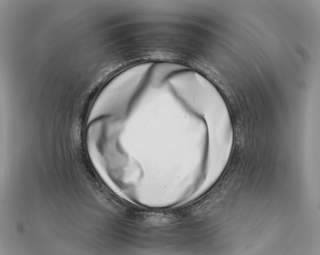 X0000111500347200908111251