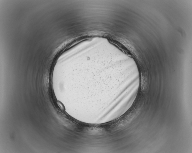 X0000111500348200908111251