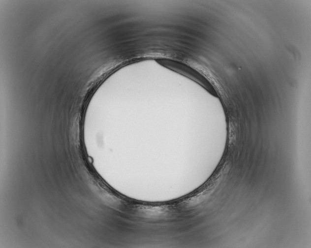 X0000111500349200908111251