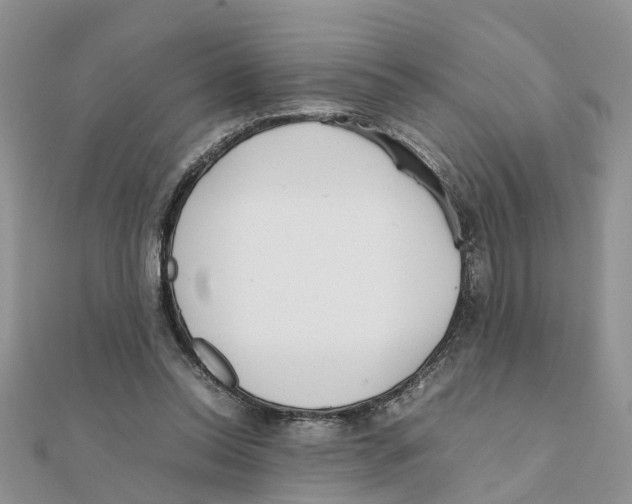 X0000111500350200908111251