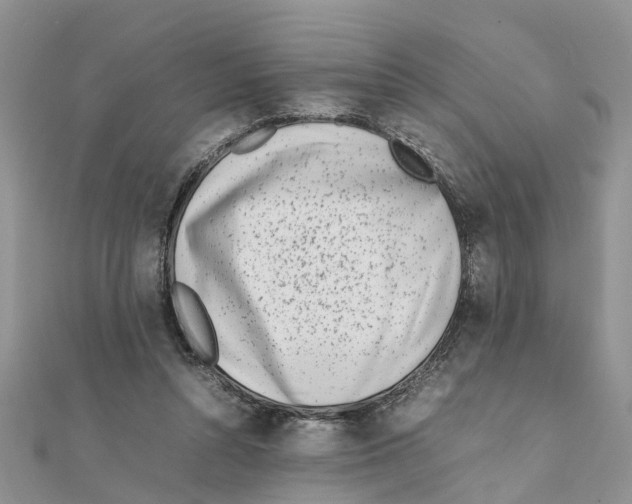 X0000111500352200908111251