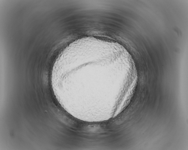 X0000111500353200908111251