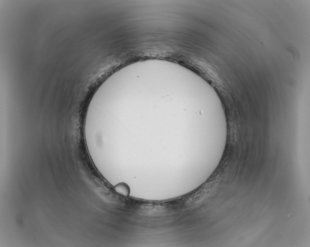 X0000111500354200908111251