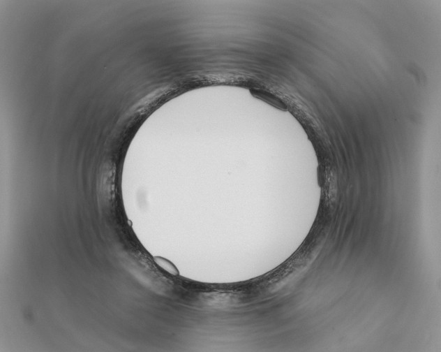 X0000111500356200908111251