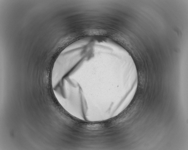 X0000111500357200908111251