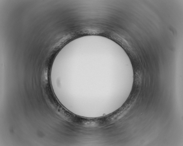 X0000111500358200908111251