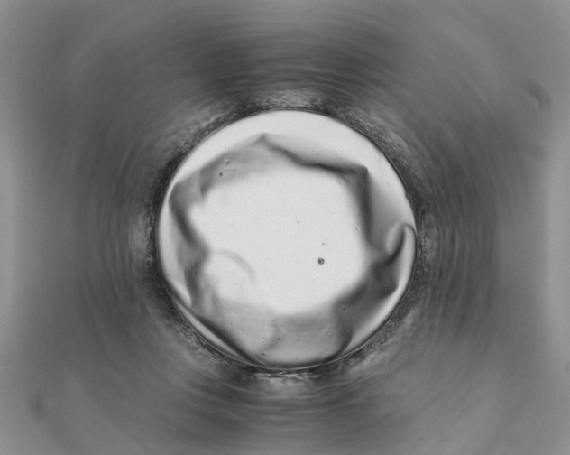 X0000111500359200908111251