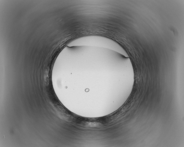 X0000111500360200908111251