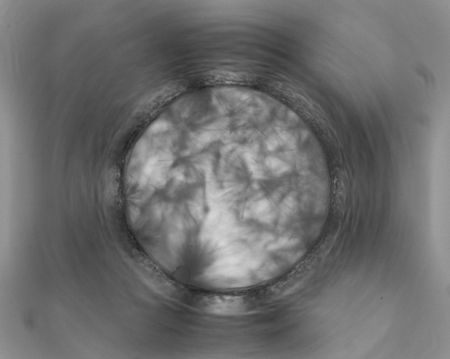 X0000111500361200908111251