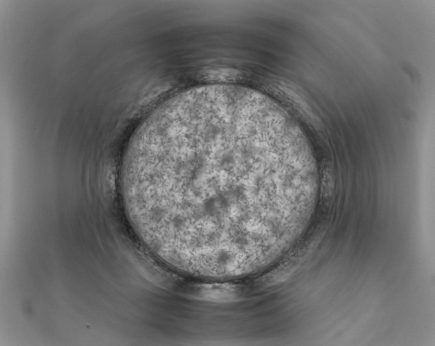 X0000111500363200908111251