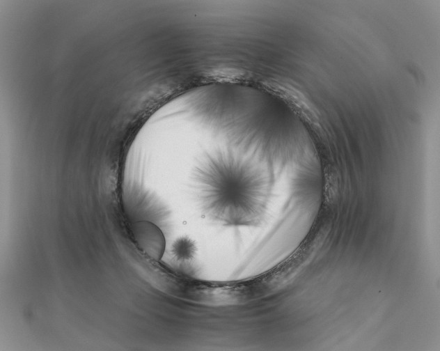 X0000111500365200908111251