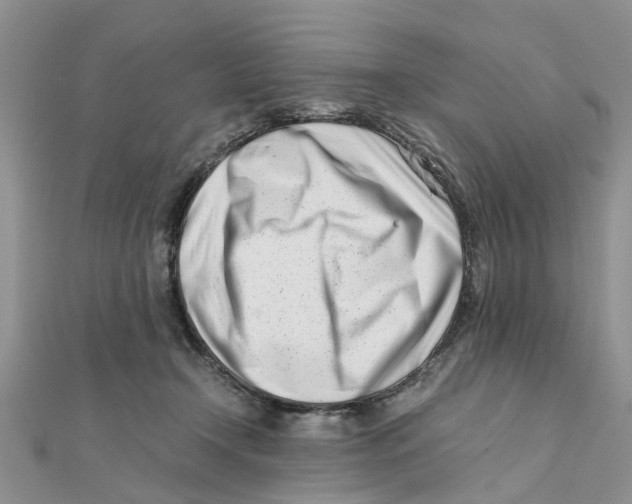 X0000111500366200908111251