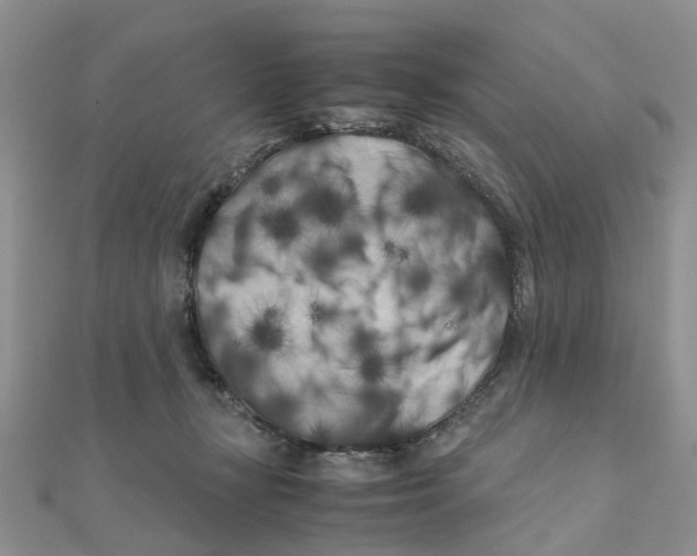 X0000111500367200908111251