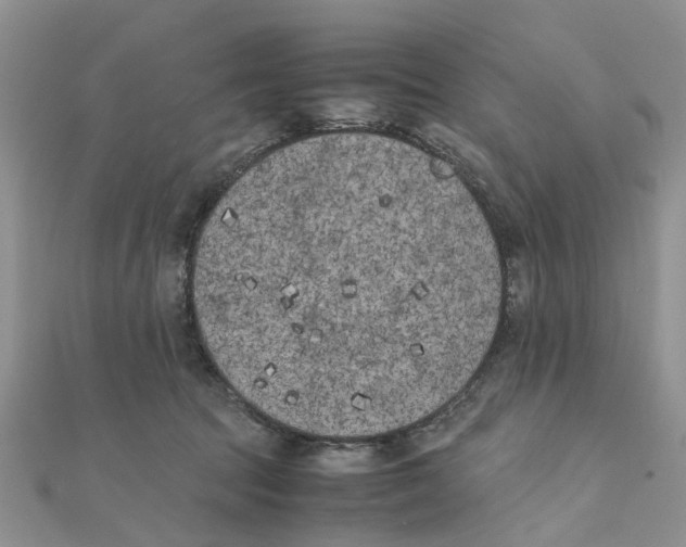 X0000111500369200908111251