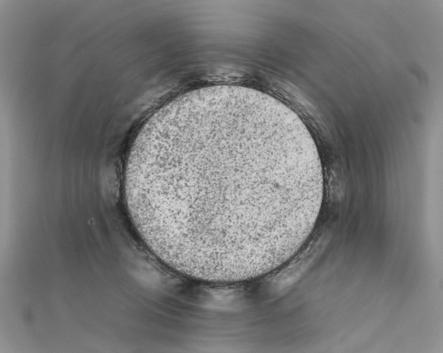 X0000111500370200908111251