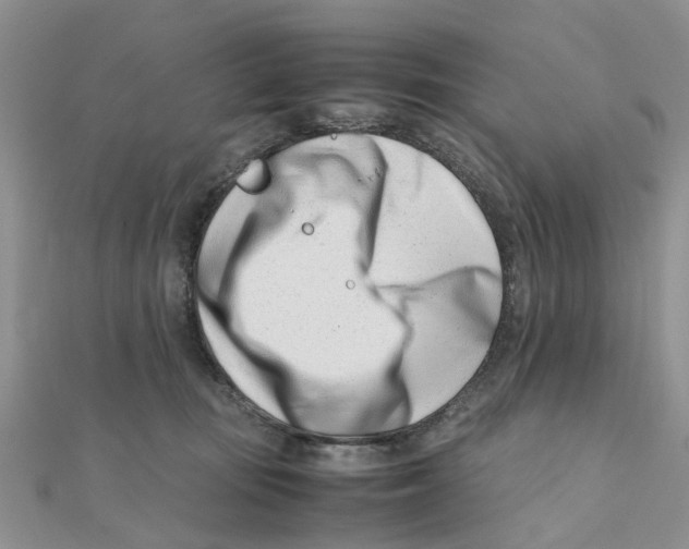 X0000111500371200908111251