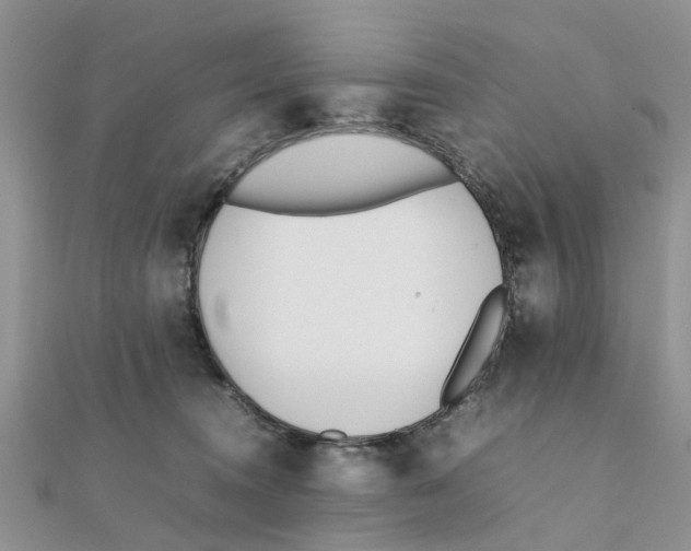 X0000111500372200908111251