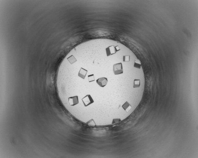 X0000111500373200908111252