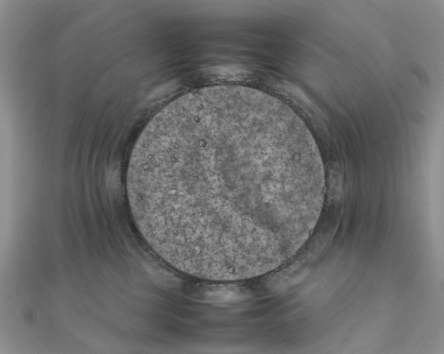 X0000111500377200908111252