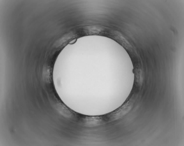 X0000111500378200908111252