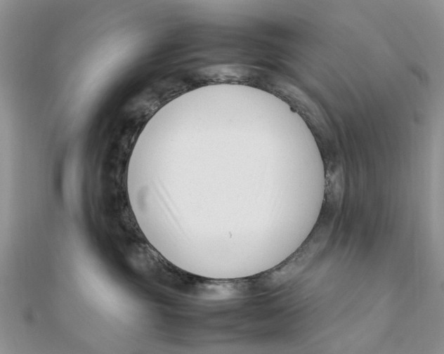 X0000111500381200908111252