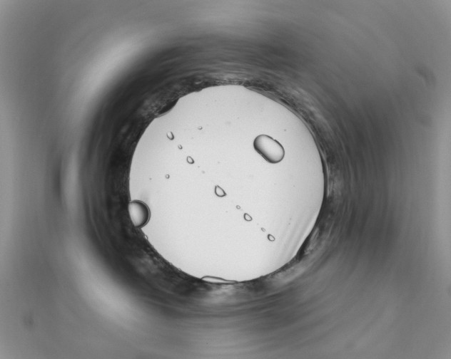 X0000111500382200908111252