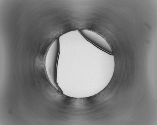 X0000111500384200908111252