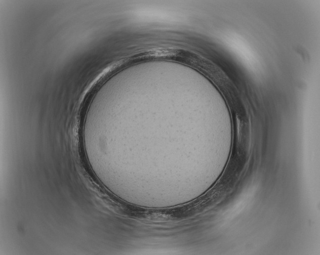 X0000111500387200908111251