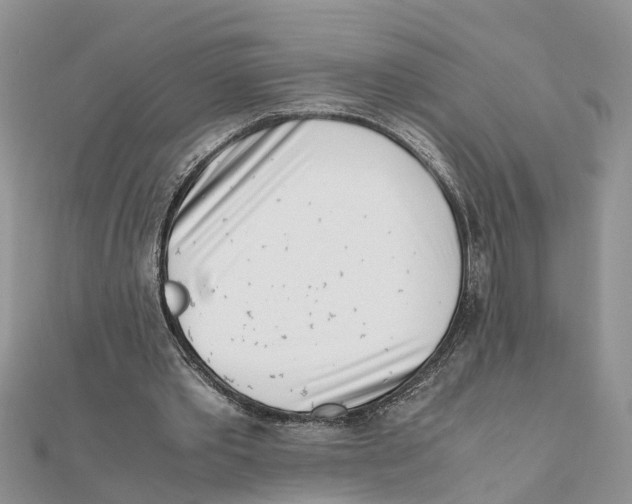 X0000111500389200908111251