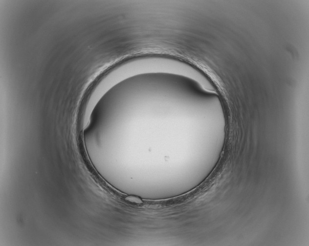 X0000111500391200908111251