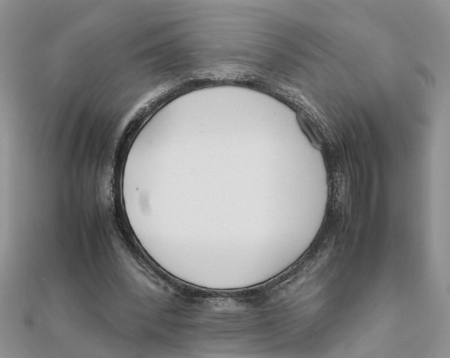 X0000111500392200908111251