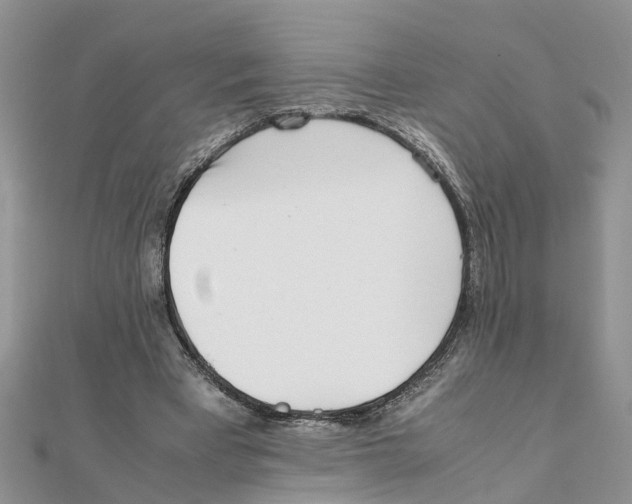 X0000111500393200908111251