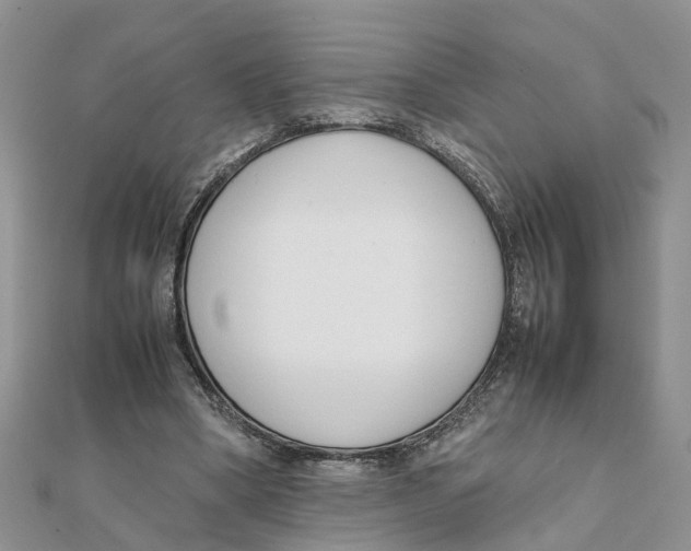 X0000111500394200908111251