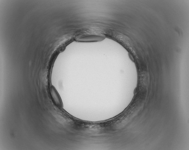 X0000111500395200908111251