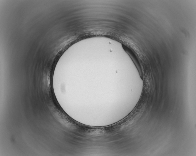 X0000111500398200908111251