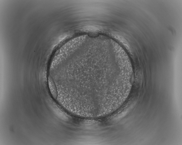 X0000111500399200908111251