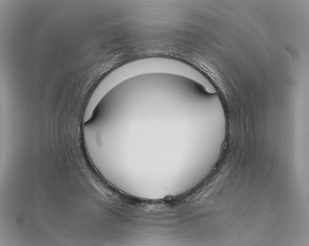 X0000111500401200908111251