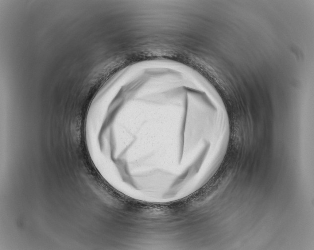 X0000111500402200908111251