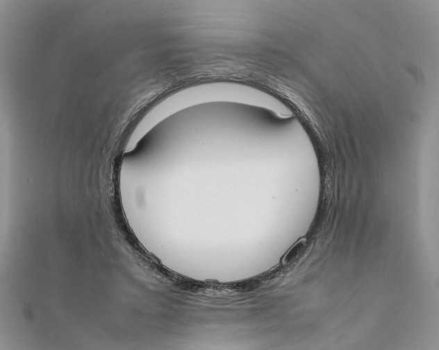 X0000111500403200908111251