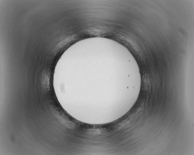 X0000111500404200908111251