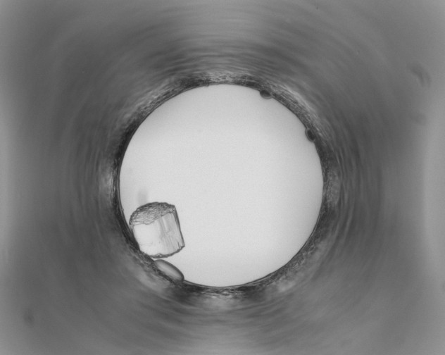 X0000111500405200908111251