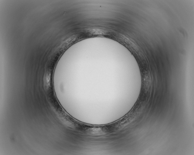 X0000111500406200908111251