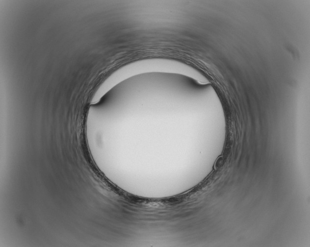 X0000111500409200908111251