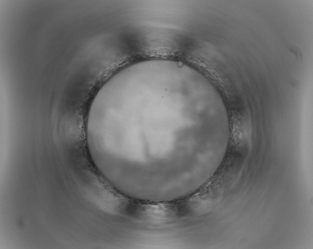 X0000111500411200908111251