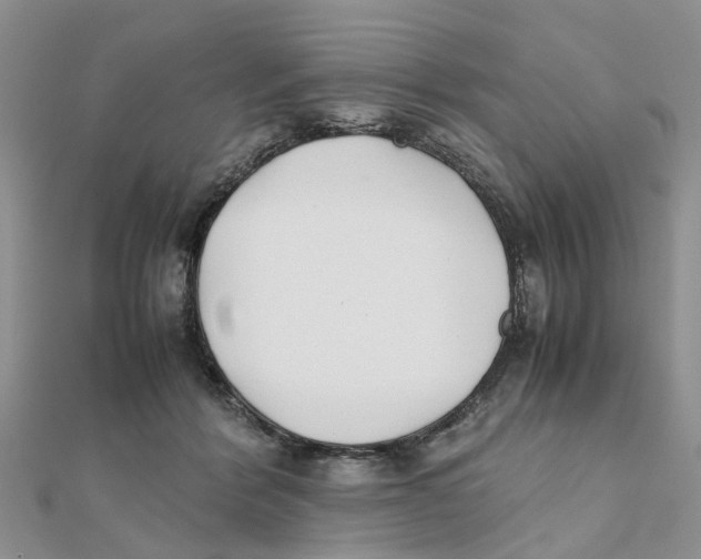 X0000111500412200908111251