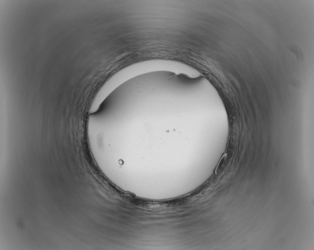 X0000111500413200908111251