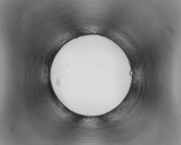 X0000111500414200908111250