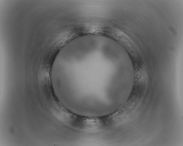 X0000111500415200908111250