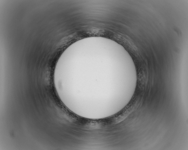 X0000111500416200908111250