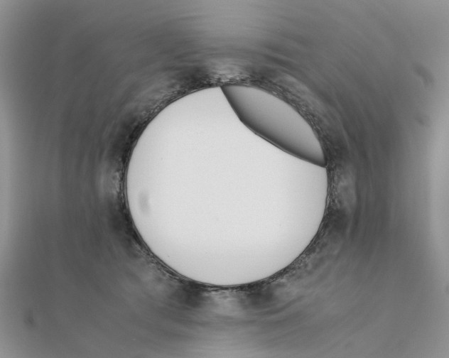 X0000111500417200908111250